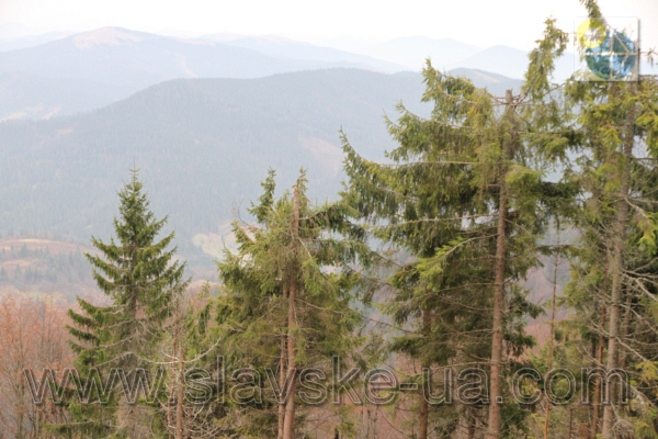 Славсько Крісльний підйомник на гору Тростян Фото